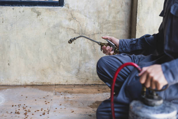 Best Mosquito Control Services  in Remlap, AL