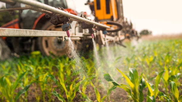 Reliable Remlap, AL Pest Control Solutions